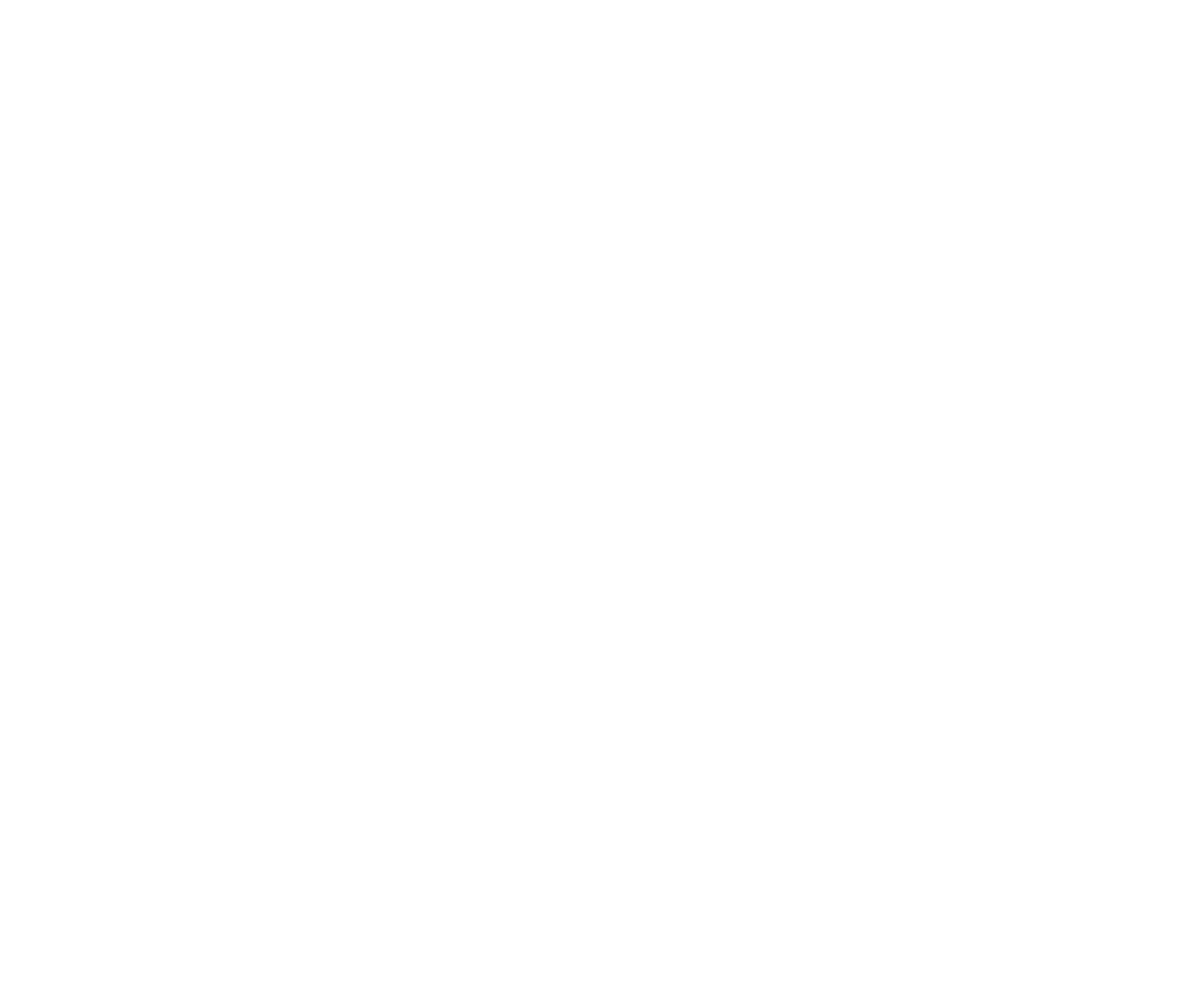Logo AIDECA white